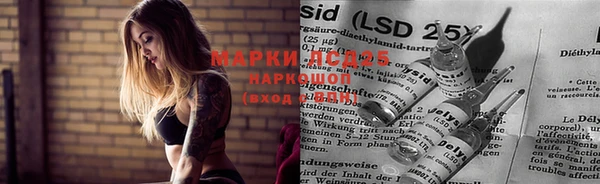 ГАЛЛЮЦИНОГЕННЫЕ ГРИБЫ Аркадак