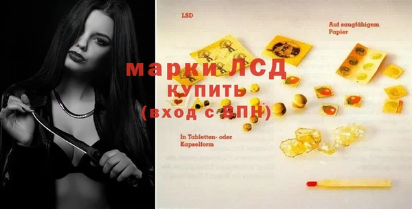 ГАЛЛЮЦИНОГЕННЫЕ ГРИБЫ Аркадак