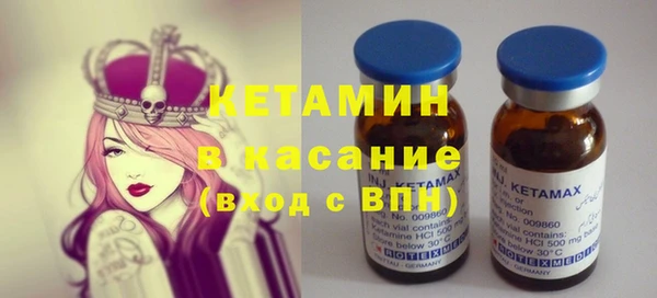 ГАЛЛЮЦИНОГЕННЫЕ ГРИБЫ Аркадак